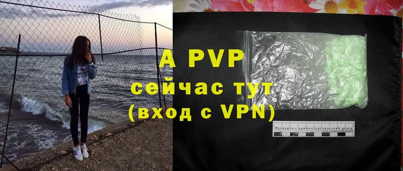 A PVP СК  Ивангород 