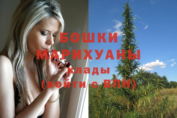 шишки Бутурлиновка
