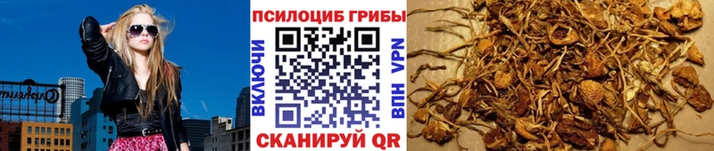 Псилоцибиновые грибы MAGIC MUSHROOMS  Ивангород 